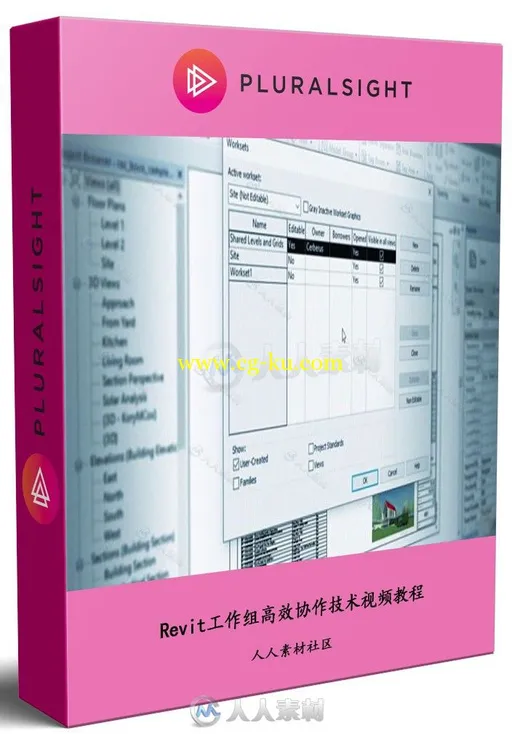Revit工作组高效协作技术视频教程 PLURALSIGHT COLLABORATION IN REVIT WORKSHARING的图片1