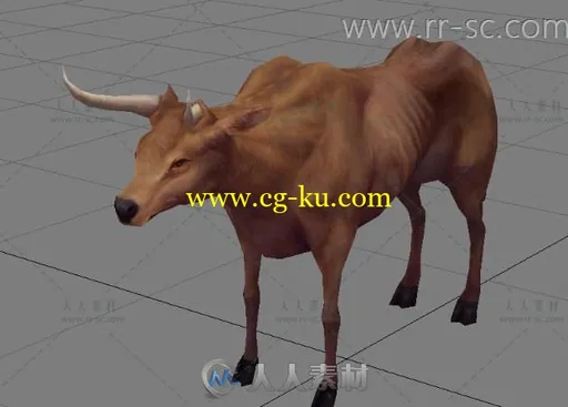 写实的老牛3D模型的图片1