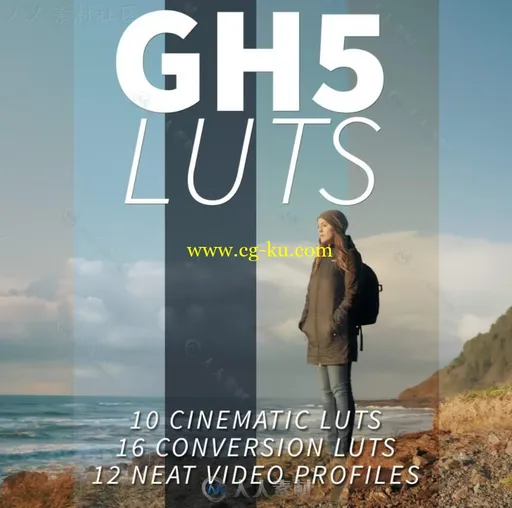 GH5luts影视级调色预设合辑 NEUMANN FILMS GH5 LUTS的图片1