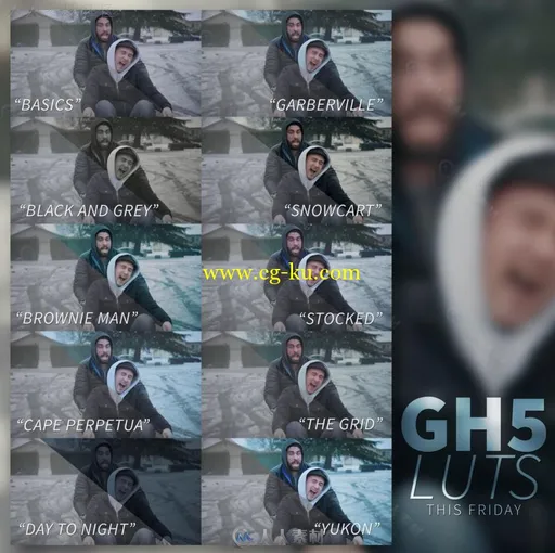 GH5luts影视级调色预设合辑 NEUMANN FILMS GH5 LUTS的图片5