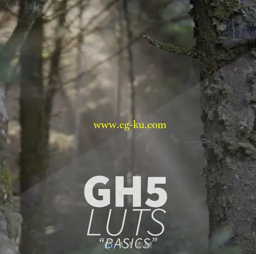 GH5luts影视级调色预设合辑 NEUMANN FILMS GH5 LUTS的图片6