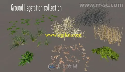 简单的树干树叶优化工具植物3D模型Unity游戏素材资源的图片14