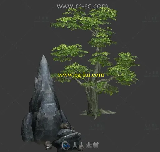 写实风格的树和岩石3D模型的图片2