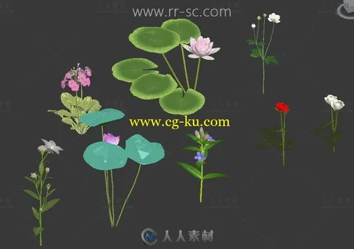 一组简单好看的花草3D模型的图片1