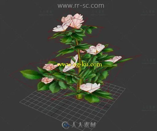 粉嫩的茶花3D模型的图片1