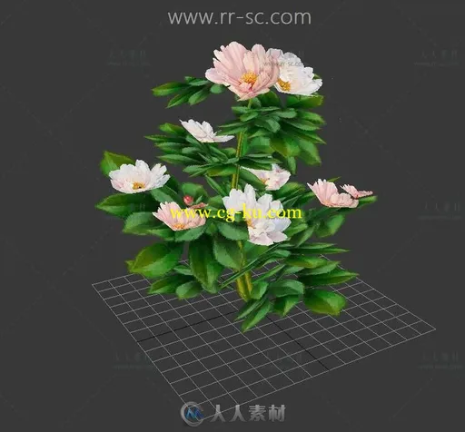 粉嫩的茶花3D模型的图片2