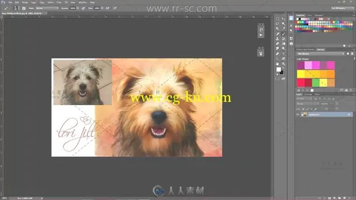 高端实用的Photoshop数字宠物绘画视频教程的图片6