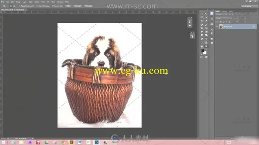 高端实用的Photoshop数字宠物绘画视频教程的图片7