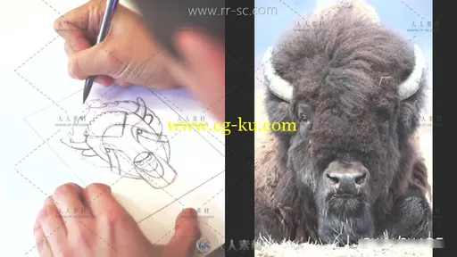 创建完美动物插画Illustration视频教程的图片1