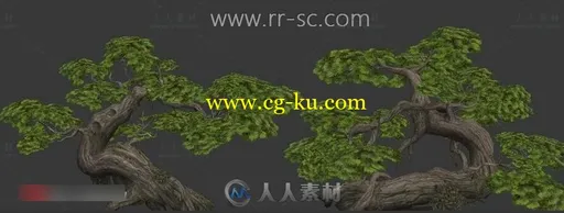 迎客松3D模型的图片2