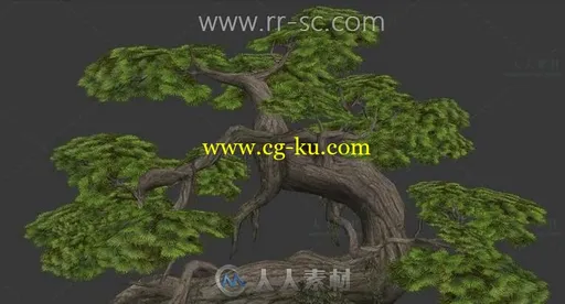 迎客松3D模型的图片3