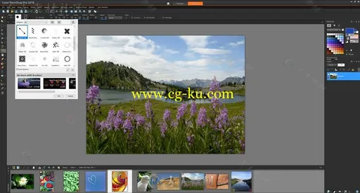 PaintShop专业相片编辑软件2018 V20.0.0.132版 Corel PaintShop Pro 2018 Ultimate的图片3