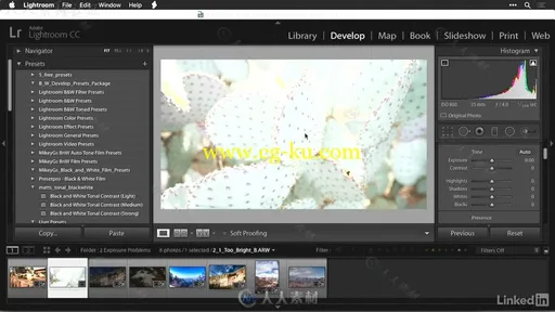 Lightroom照片快速修饰技巧视频教程 Lightroom Tips and Quick Fixes的图片3