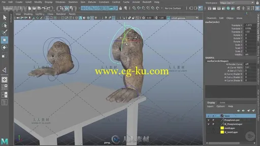 Maya骨骼动画核心技术训练视频教程 PLURALSIGHT MAYA RIGGING FUNDAMENTALS的图片2