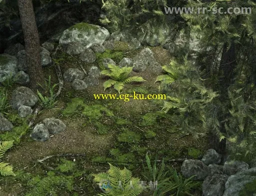 森林景观悬崖石头蕨类植物和松树3D模型合辑的图片1