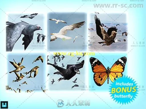 鸟群包动物角色3D模型Unity游戏素材资源的图片1