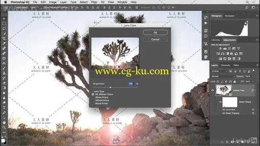 PS照片处理智能滤镜技术视频教程 Photoshop Filters for Photography的图片3