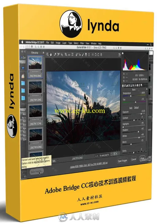 Adobe Bridge CC核心技术训练视频教程 Adobe Bridge CC Tips Tricks and Techniques的图片1