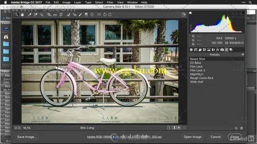 Adobe Bridge CC核心技术训练视频教程 Adobe Bridge CC Tips Tricks and Techniques的图片3