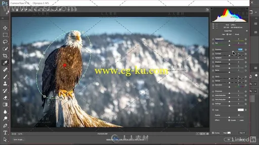 Premiere Pro高效桥接工作流程视频教程 Premiere Pro Guru Dynamic Link and the A的图片2