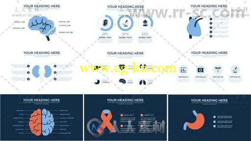 医疗信息图表分析医学器官健康数据动画展示AE模板 Videohive Medical Infographic的图片3