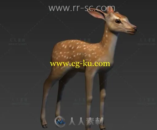 现实小梅花鹿3D模型的图片1