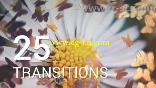 美丽优雅的蝴蝶纷飞视频转场效果AE模板Videohive Butterflies Transitions 12016750的图片1