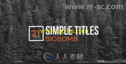 干净简洁的文字字幕标题排版动画展示AE模板 Videohive Simple Titles 20137446的图片1