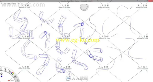 数码艺术绘画初学者入门训练视频教程 UDEMY DIGITAL ART FOR BEGINNERS的图片5