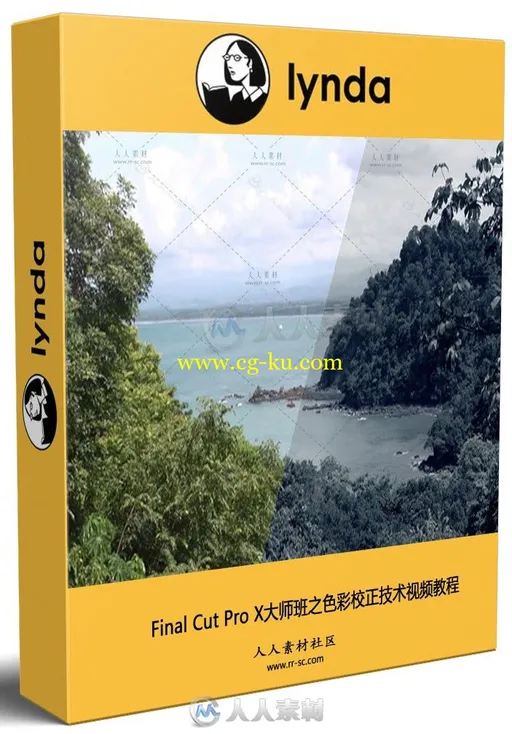 Final Cut Pro X大师班之色彩校正技术视频教程 Final Cut Pro X Guru Color Correc的图片1