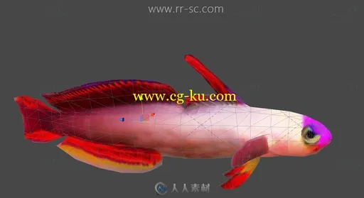 22款海洋鱼类带骨骼带动画3D模型的图片2