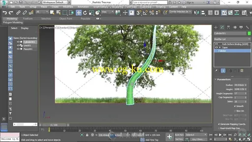 3ds Max中植物低面数建模视频教程的图片3