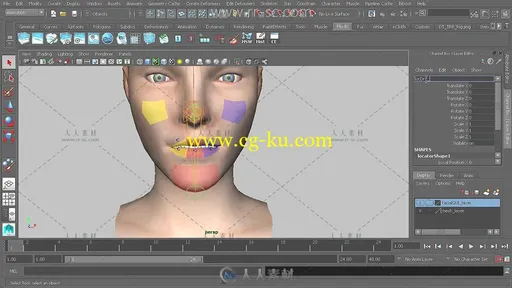 Maya人脸面部控制变形设计视频教程的图片1