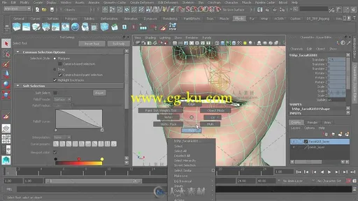 Maya人脸面部控制变形设计视频教程的图片3