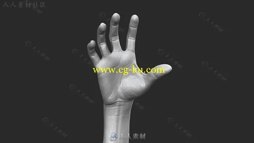 Zbrush手部模型雕刻剖析视频教程第二季 3DMOTIVE SCULPTING HAND ANATOMY IN ZBRUS的图片2