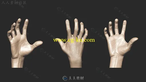 Zbrush手部模型雕刻剖析视频教程第一季 3DMOTIVE SCULPTING HAND ANATOMY IN ZBRUS的图片2