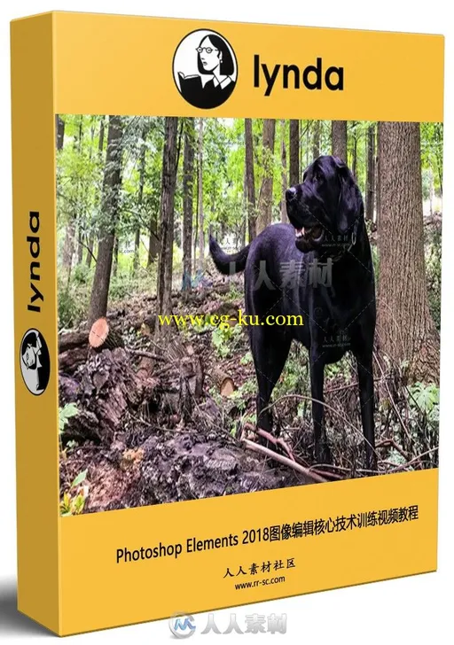 Photoshop Elements 2018图像编辑核心技术训练视频教程 Learning Photoshop Elemen的图片1