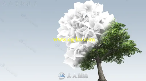 UE4中SpeedTree树木植物3D模型合辑 SPEEDTREE COLLECTION FOR UNREAL ENGINE 4的图片6