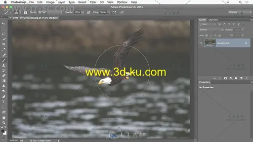 PS图像调整技术训练视频教程 SKILLSHARE TARGETED ADJUSTMENTS IN ADOBE PHOTOSHOP的图片1