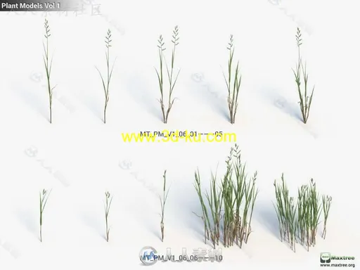 Maxtree出品树木植物3D模型Vol.1、3和4合集 MAXTREE PLANT MODELS VOL 1 3 4的图片23