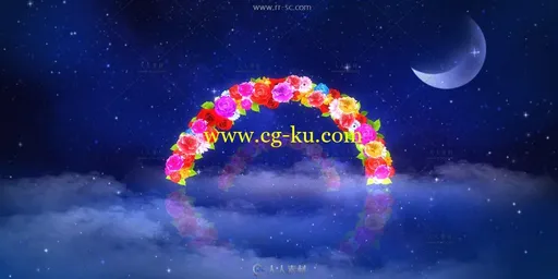 夜色星空下幸福花瓣拱门背景视频素材的图片1