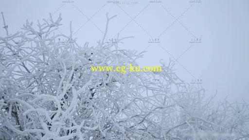 唯美冬季冰天雪地摄影师雪地拍照高清实拍视频素材的图片1