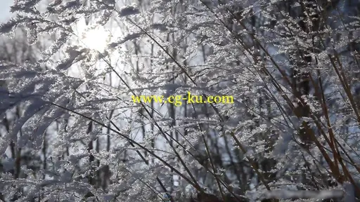 唯美冬季冰天雪地摄影师雪地拍照高清实拍视频素材的图片2