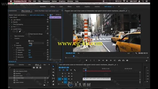 Premiere Pro影视调色特效与转场预设工具包合辑 Photo Light Pro Premiere Pro Edi的图片3