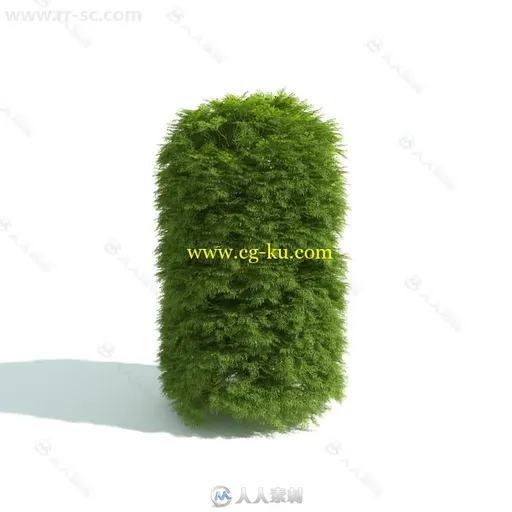 60组高质量花园草木植物3D模型合辑的图片5