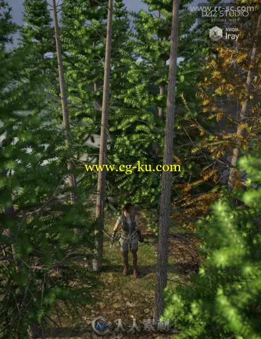 7棵挺拔笔直的常绿杉树道具3D模型合辑的图片1