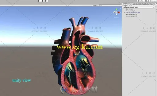 生气蓬勃的心脏解剖角色3D模型Unity游戏素材资源的图片3