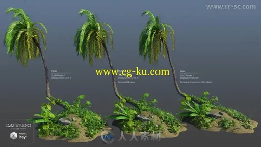 热带雨林棕榈树植物3D模型合辑的图片5