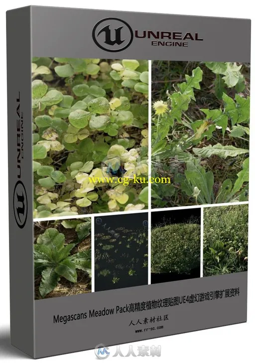 Megascans Meadow Pack高精度植物纹理贴图UE4虚幻游戏引擎扩展资料的图片1