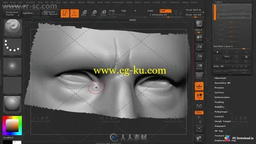 Zbrush精细人脸塑造实例训练视频教程第二季的图片7